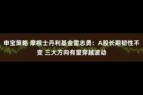 申宝策略 摩根士丹利基金雷志勇：A股长期韧性不变 三大方向有望穿越波动