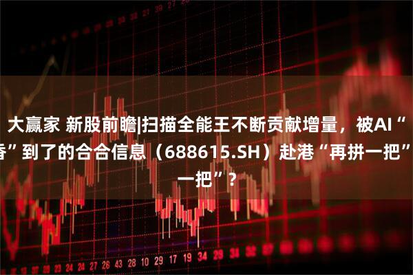 大赢家 新股前瞻|扫描全能王不断贡献增量，被AI“香”到了的合合信息（688615.SH）赴港“再拼一把”？