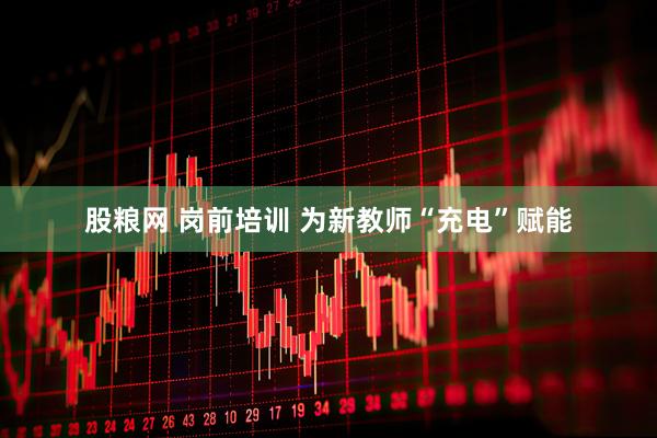 股粮网 岗前培训 为新教师“充电”赋能