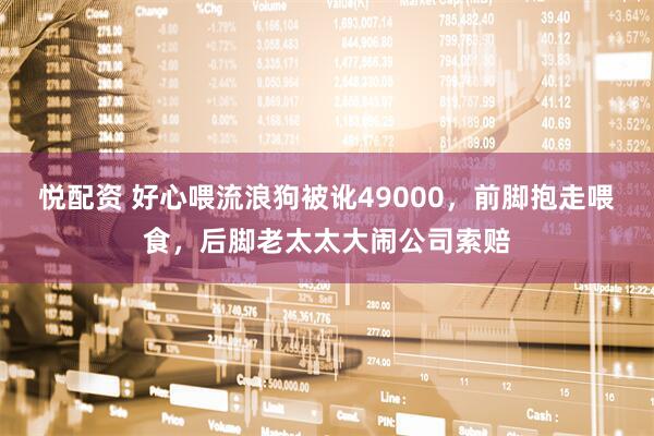 悦配资 好心喂流浪狗被讹49000,前脚抱走喂食,后脚老太太大闹公司索赔