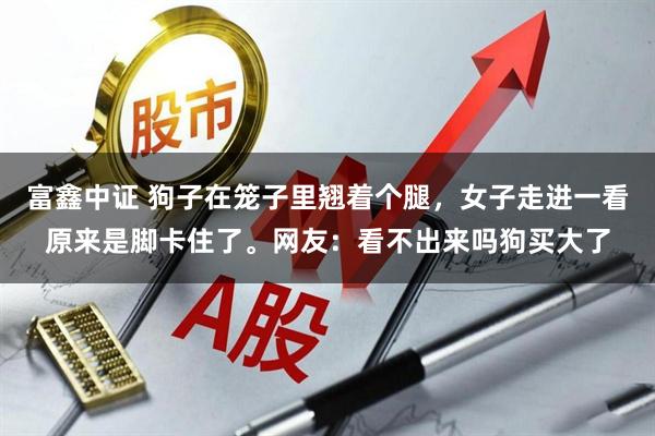 富鑫中证 狗子在笼子里翘着个腿，女子走进一看原来是脚卡住了。网友：看不出来吗狗买大了