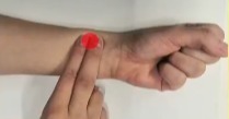 问道管理 血液只需20秒就跑完全身？