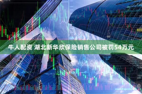 牛人配资 湖北新华欣保险销售公司被罚54万元